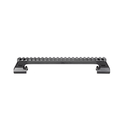Modular Rail Riser And Carry Handle